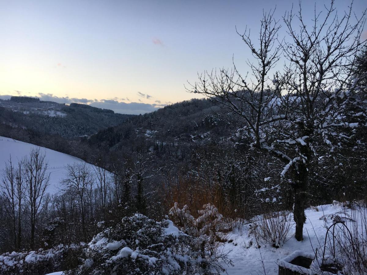 Le Coteau D'Olliergues Bed & Breakfast Eksteriør bilde